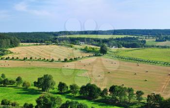 View on the fields and meadow in Middle Bohemia (Czech Republic).