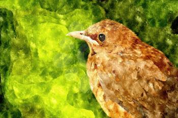 Abstract watercolor digital generated drawing with thrush on green background.