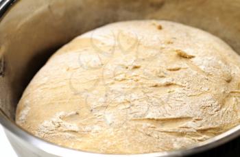 Closeup of yeast dough sprinkled with flour in bowl.