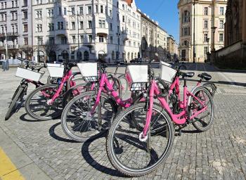 Bike sharing pink bicycles locked at pole in center of Prague city. New modern ecological and fast city transport. 