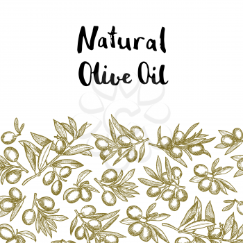 Vector hand drawn olive branches background with place for text illustration