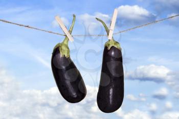 Eggplant On Hanging On A Rope On Sky Background