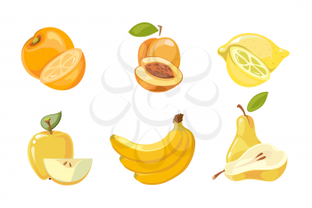 Vector yellow fruits collection isolated over white. Apricot and banana, orange and lemon illustration