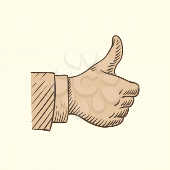 Hand showing like symbol, sketch thumbs up vector isolated on background illustration