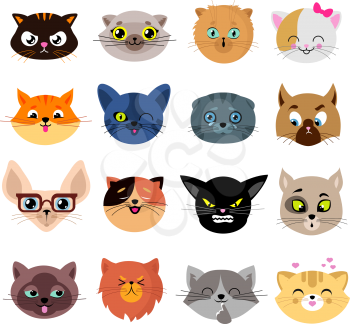 Heads of cute cat characters with different emotions vector. Set of cats head enamored and funny illustration