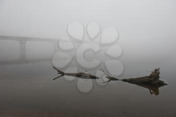 Bridge through Dnepr river in misty morning with a big log