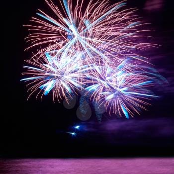 Blue and red colorful holiday fireworks on the black sky background.