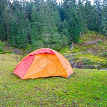 Orange camping tent in a green forest. 