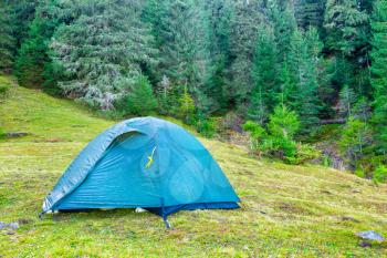 Blue camping tent in a green forest with pine trees