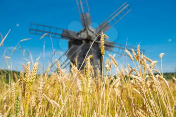 Mill on the wheat field with blue sky