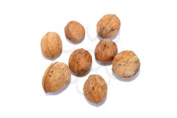 A group of walnuts isolated on white.
