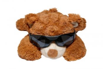 Brown toy bear in sunglasses isolated on white.