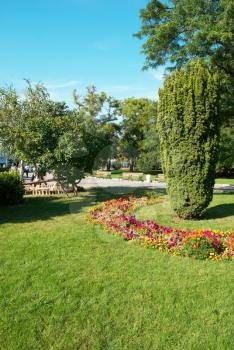 Green sunny park with flowers and trees 