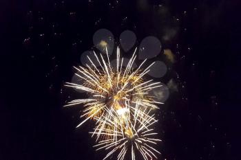 Festive salute in the night sky. Explosions of fireworks.