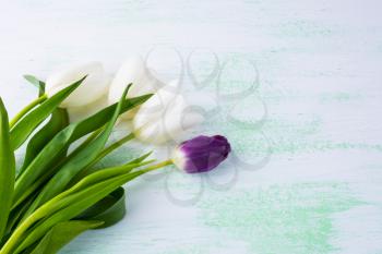 White tulips floral pattern background. Flower frame. Flower background. Flower bouquet. Greeting card. Mothers day. Flowers.  Flower pattern. Flower border. Place for text. Copy space