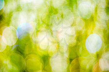 Sun beams on meadow grass blurred bokeh background. Natural green defocused background