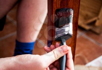 Closeup view of painting brush in the hand painting wooden board In brown paint. Home renovation and painting concept. Painting brush in the hand. Brown paint on the wood