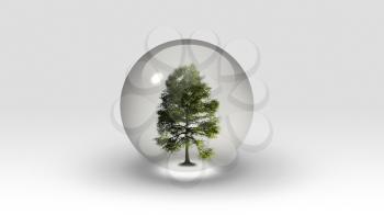 Tree inside bubble. 3d rendering.