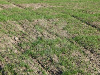 Tractor plowed field and arable land