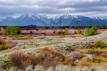 Autumn in the Grand Tetons