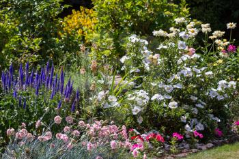 An East Grinstead Garden in Full Bloom