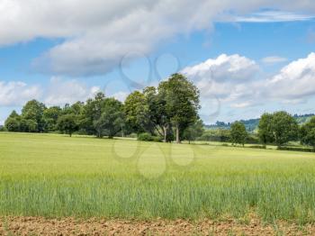 Rolling arable farm landnear East Grinstead in West Sussex on a sunny summer day