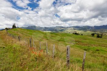 Verdant undulating countryside of the North Island in New Zealand