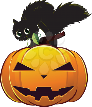 A cute black kitten on big Halloween pumpkin.