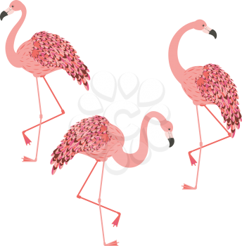 Cute cartoon pink flamingo, exotic bird design illustration.