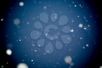 First winter snow storm, defocused background with bokeh. 