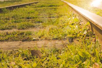 Abandoned old railroad with green grass, summer time.