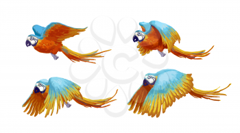 Sprite sheet of flying parrot, game art animation of 4 frames