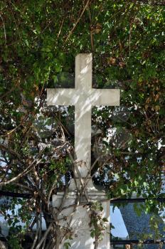 Marble cross old tombstone and sunlight through overgrown plant branches.