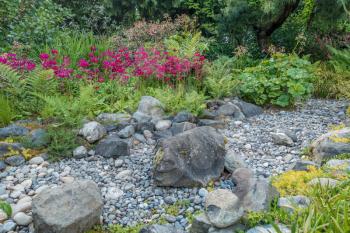 A scene with a dry rocky stream bed with vibrant red flowers.