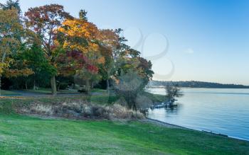 Autumn colors are on display on the shoreline of Lake Washington in Seattle.