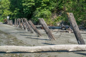 Old wooden posts line the shore at Dash Point Sate Park. in Washington State.