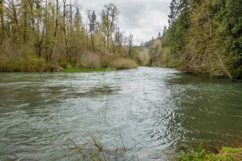 A view of the Green River at Flaming Geyser State Park in Washington State. It is Spring.
