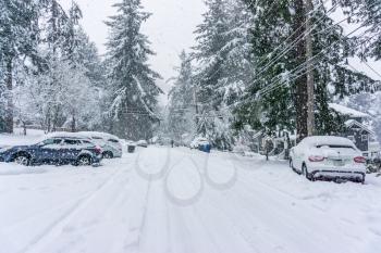 Snow is very deep as the storm reaches its peak.  Location is Burien, Washington.