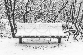 A park bench in covered with snow in Burien, Washington. Balck and white image.