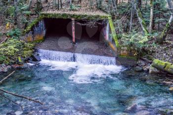 Water flows out of a culvert near Denny Creek in Washington State.
