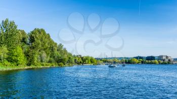 A view of the shoreline at Gene Coulon Park on Lake Washington in Renton, Washington.