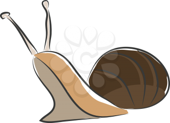 Simple bown snail vector illustration on white background.