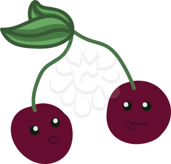 Two purple cherries looking at each other vector color drawing or illustration
