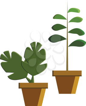 Two green potted plant depicting beautiful nature vector color drawing or illustration 