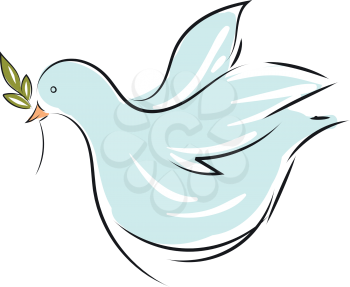 Vector illustration on white background of a light blue dove with an olive branch 