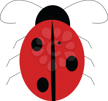 A drawing of a red lady bug with black spots on it vector color drawing or illustration