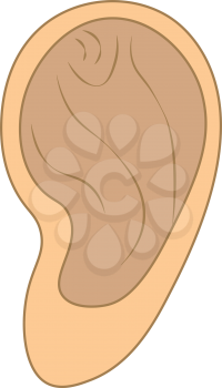 Anatomy of human ear vector or color illustration