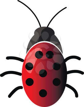 A ladybug insect vector or color illustration