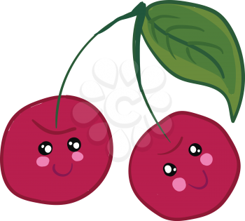 Pair of red cherries look cute and lovely vector color drawing or illustration 