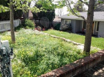 front yard rancher single family home green grass